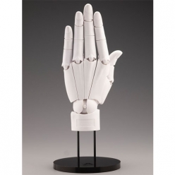 [ARTIST SUPPORT ITEM] 1:1 핸드 모델 L (왼손/화이트)
