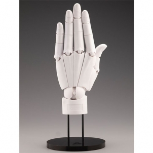 [ARTIST SUPPORT ITEM] 1:1 핸드 모델 L (왼손/화이트)