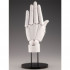 [ARTIST SUPPORT ITEM] 1:1 핸드 모델 L (왼손/화이트)
