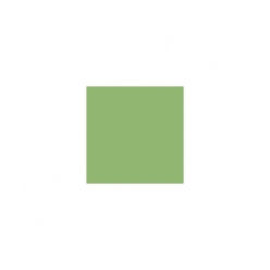 H-050 쑥색 (라임 그린/유광)