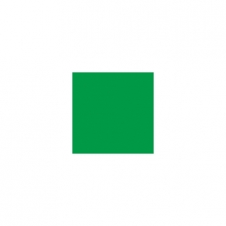 H-026 데이토나 그린 (유광)