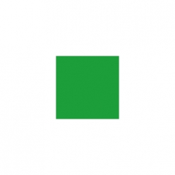 H-016 옐로우 그린 (유광)