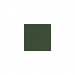 519 브롱세그룬 RAL6031 (무광)