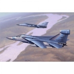 1/48 EF-111 Raven