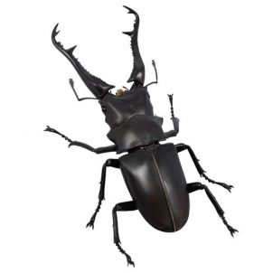 [리볼텍 지오 RG007] 기라파톱사슴벌레