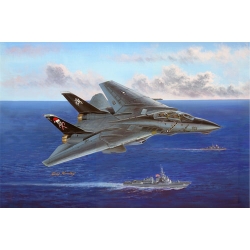 1/48 F-14B Tomcat