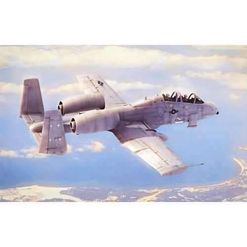 1/48 N/AW A-10A \
