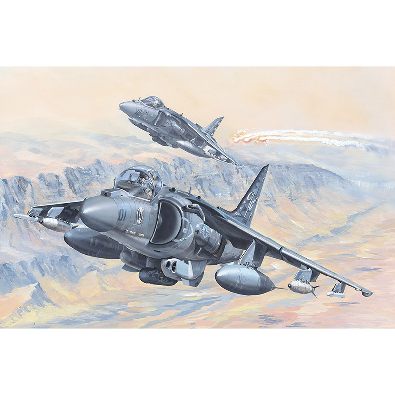 1/18 미 해병대 AV-8B 해리어 II 공격기 - 1/18 AV-8B Harrier II