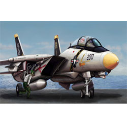 1/144 Aircraft F-14A Tomcat