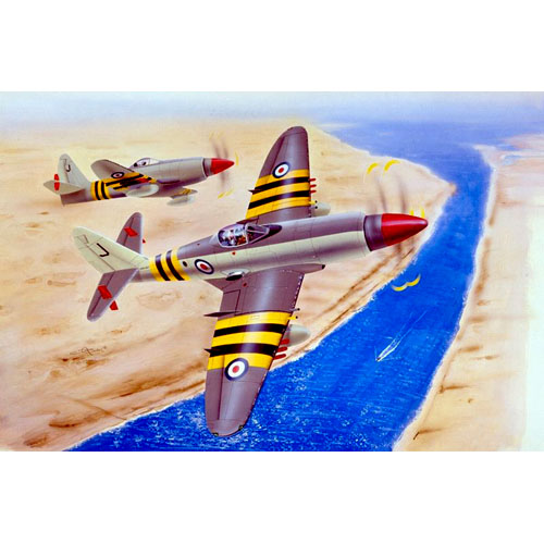 1/48 WESTLAN Wyvern S.4