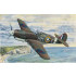 1/32 P-40B WARHAWK