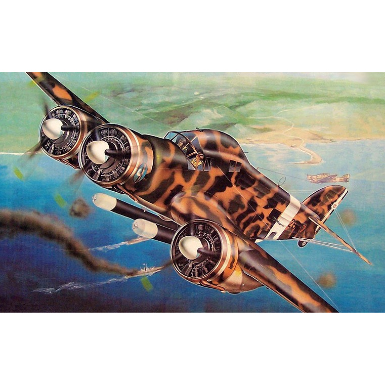 1/48 이탈리아 공군 S.M.79 “식작응(스파르비에로)” 폭격기 - 1/48 Savoia Marchetti SM.79-11