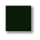 018 BLACK GREEN(반광)