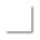 062 FLAT WHITE(무광)