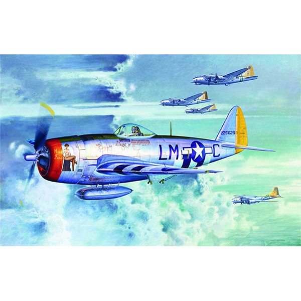1/32 미 육군 항공대 P-47D 썬더볼트 버블 캐노피형 전투기 - 1/32 P-47D “Thunderbolt