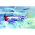 1/32 미 육군 항공대 P-47D 썬더볼트 버블 캐노피형 전투기 - 1/32 P-47D “Thunderbolt