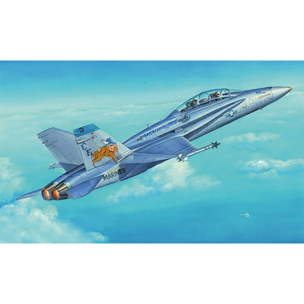 1/48 미 해군 F/A-18D 호넷 전투공격기 - 1/48 F/A -18D \